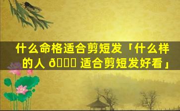 什么命格适合剪短发「什么样的人 🐅 适合剪短发好看」